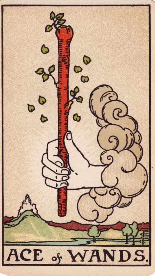 Ace of Wands