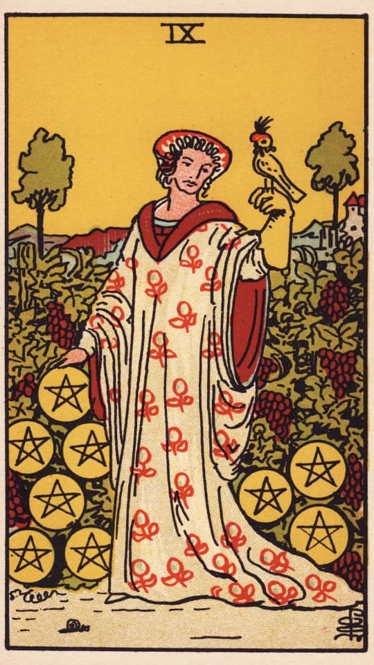 Nine of Pentacles